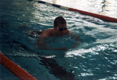 Robin beim Schwimmen