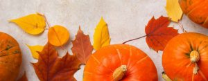 Herbstferien-Programm