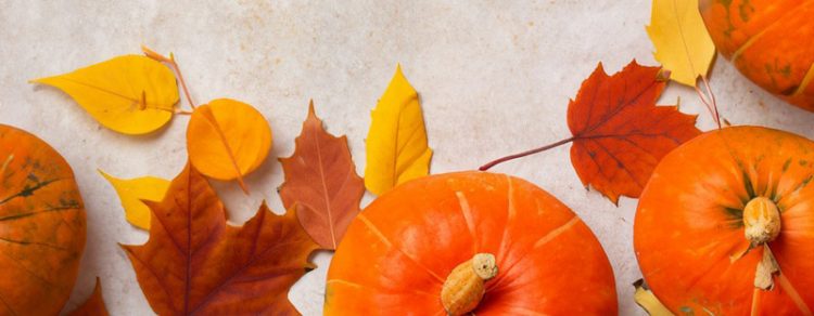 Herbstferien-Programm