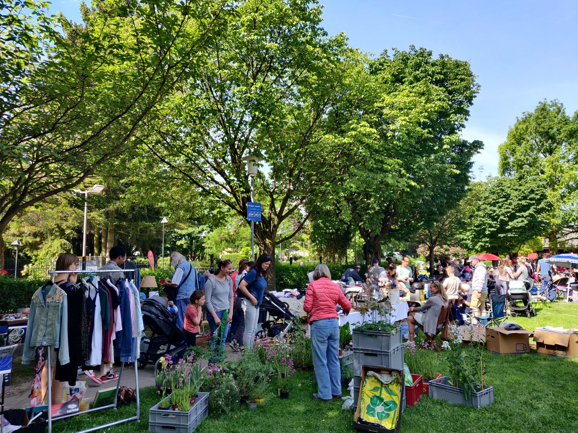 Rostock In Trodelstimmung Der Ultimative Guide Zum Flohmarkt Heute Rostockfeed