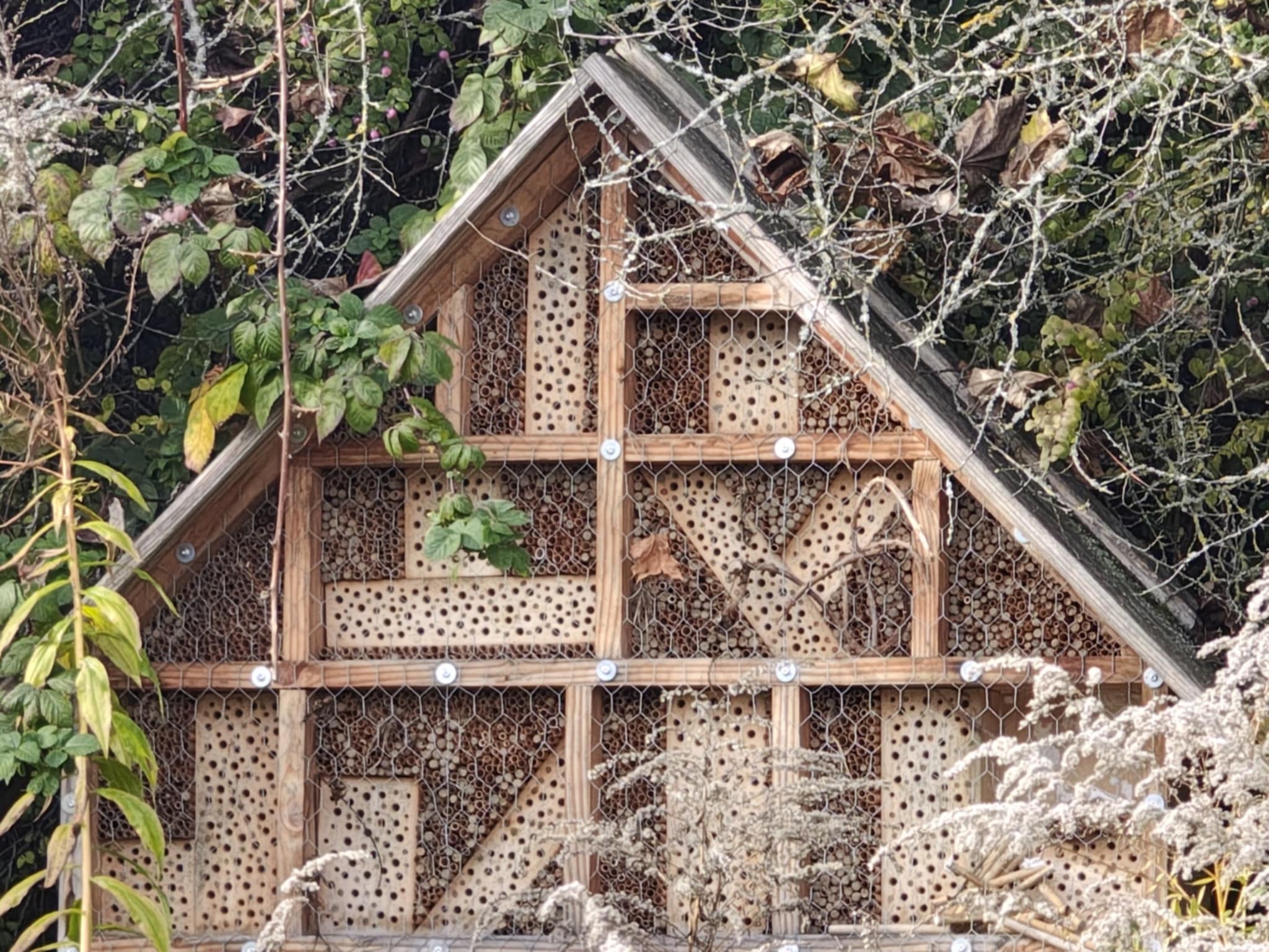 Nachhaltigkeitsprojekte TSV Auerbach